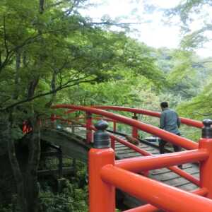 河鹿橋