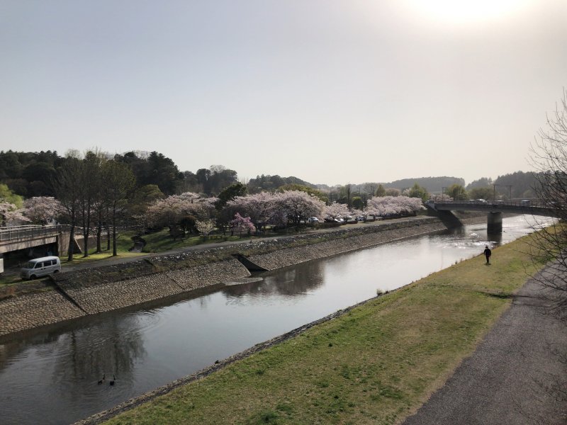 偕楽園