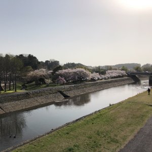 偕楽園