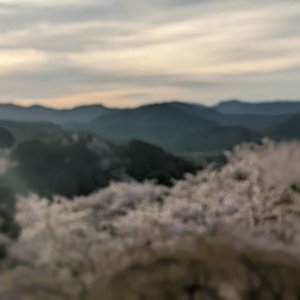 千光寺公園
