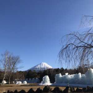 西湖野鳥の森公園