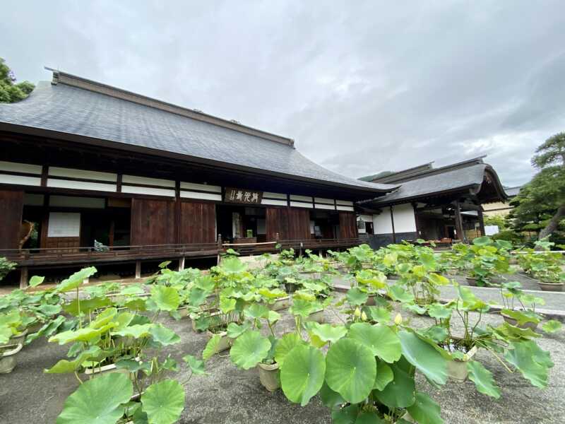 放光寺