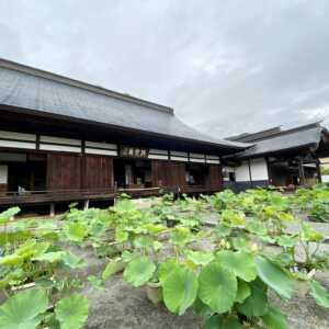 放光寺