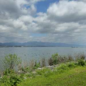 湖岸緑地公園