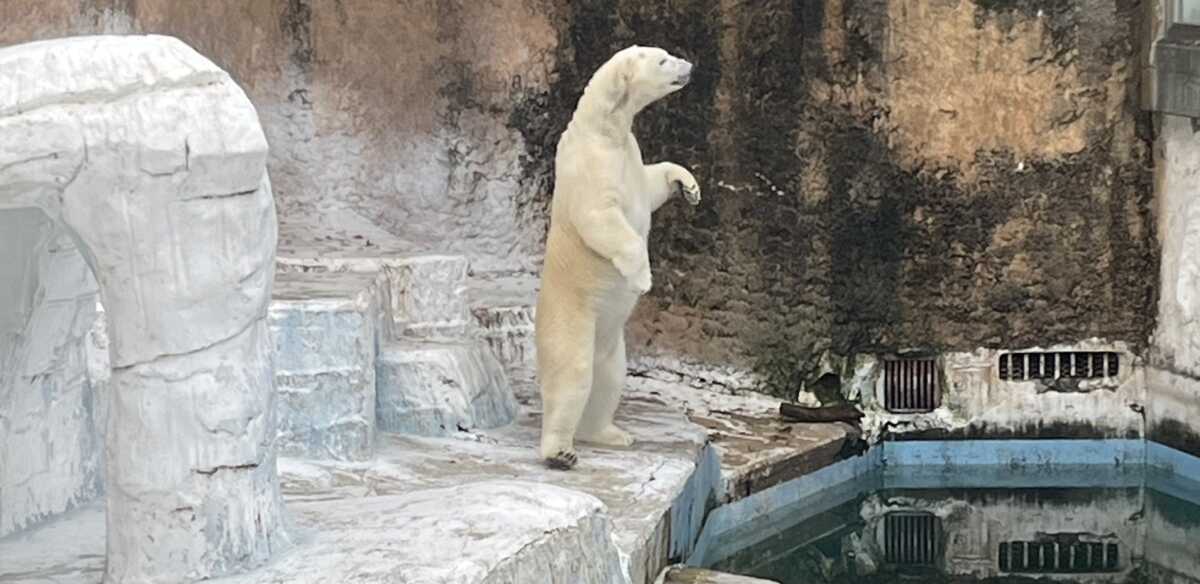 天王寺動物園