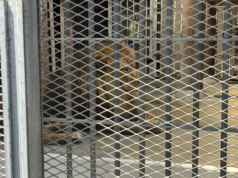 姫路市立動物園