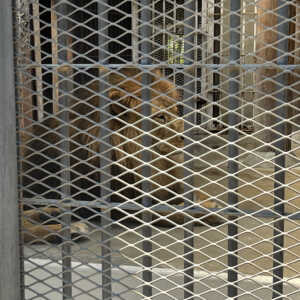 姫路市立動物園
