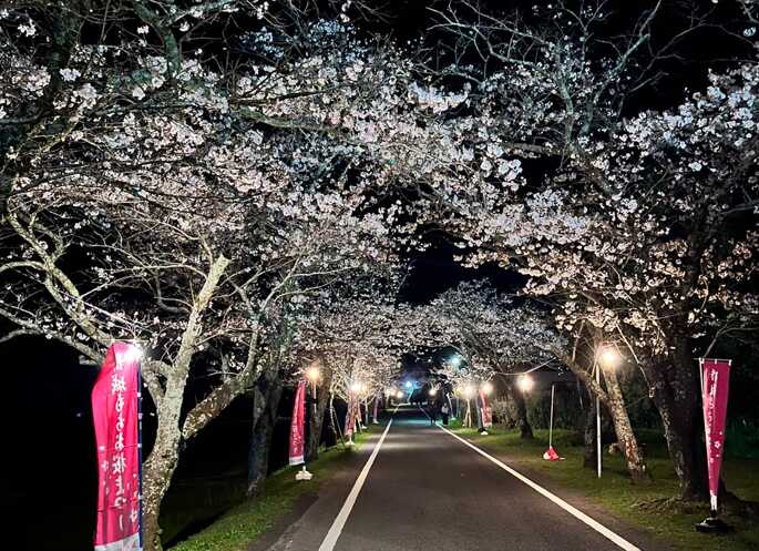 母智丘公園