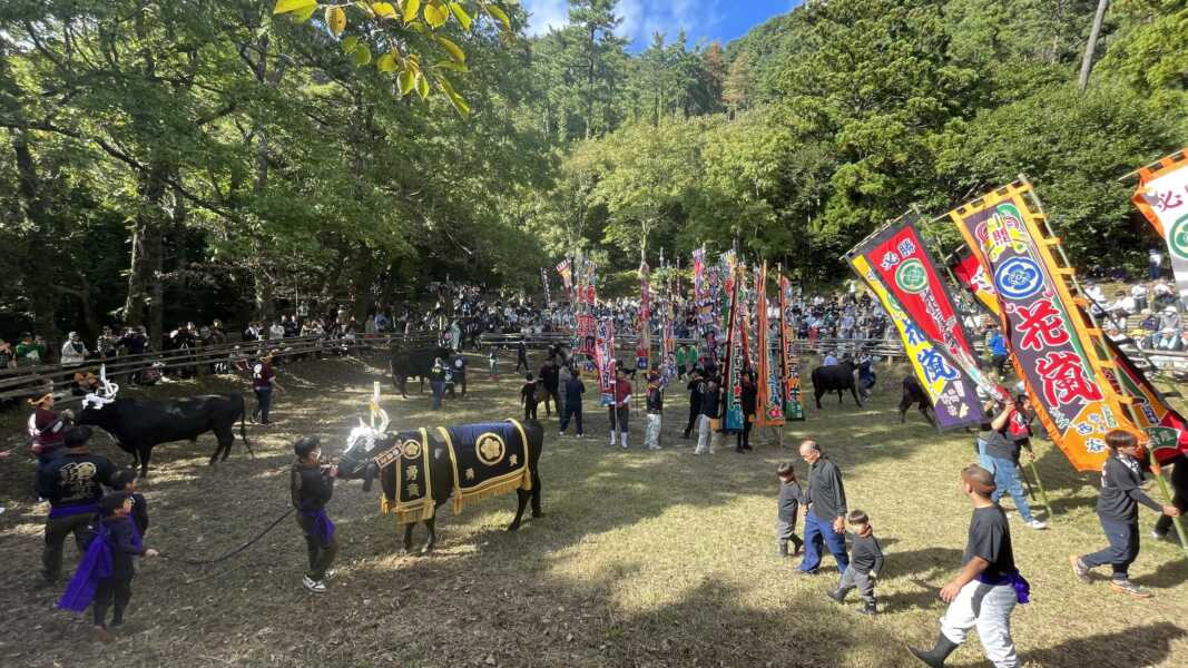 一夜ヶ嶽牛突き場