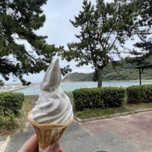 サザエ村(中村キャンプ場)