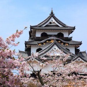 彦根城周辺
