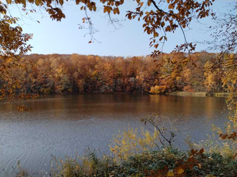 西岡公園