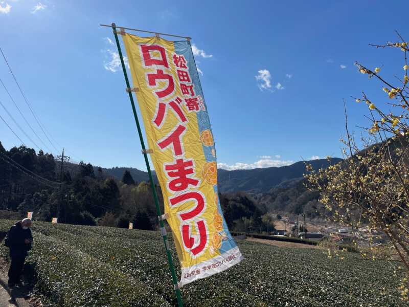 松田町寄ロウバイ園