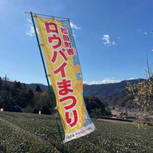 松田町寄ロウバイ園
