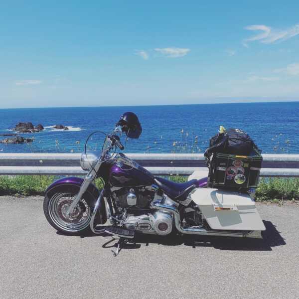 滝瀬海岸シラフラ
