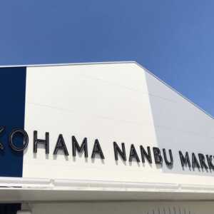 南部市場