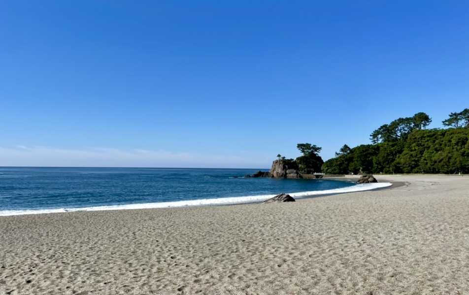 桂浜