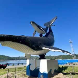 宇佐しおかぜ公園