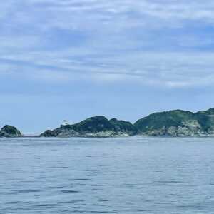国道九四フェリー 三崎営業所