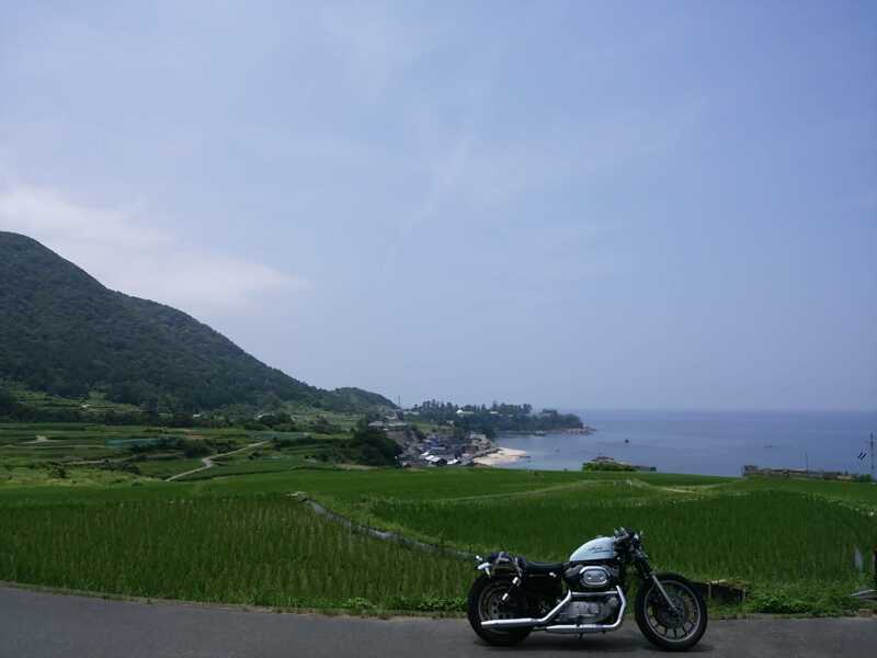 袖志の棚田