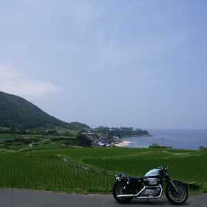 袖志の棚田