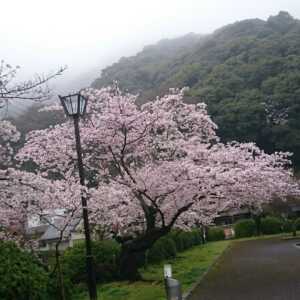 吉香公園