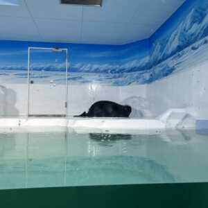 滋賀県立琵琶湖博物館