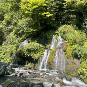 吐竜の滝
