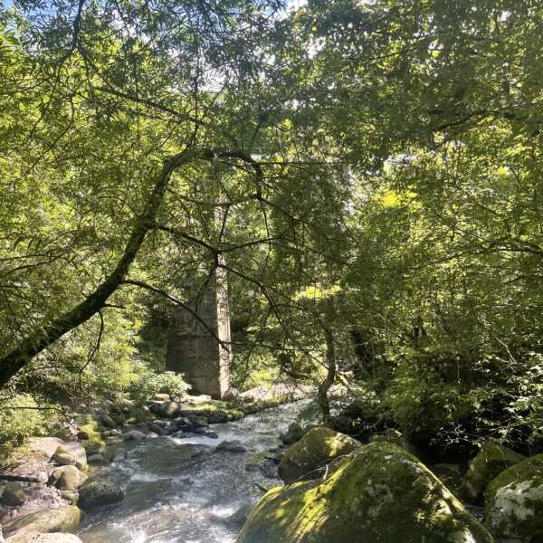 吐竜の滝