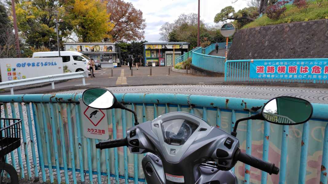 野毛山動物園