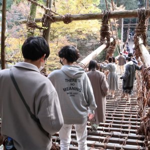 祖谷のかずら橋