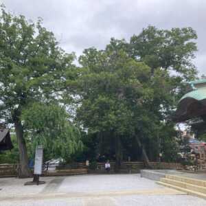 師岡熊野神社