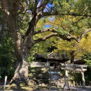 事任八幡宮