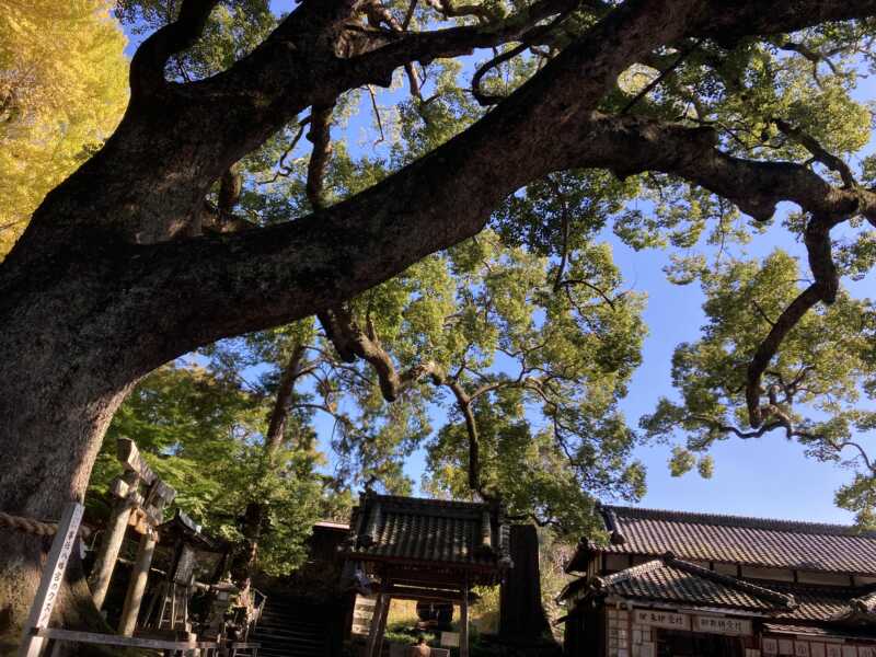 事任八幡宮