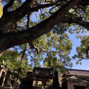 事任八幡宮