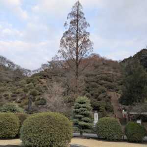 祐徳稲荷神社