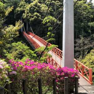 しらさぎ橋