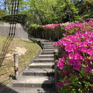 しらさぎ橋