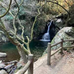 仙厳の滝