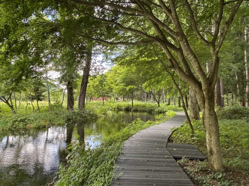 ミニ尾瀬公園