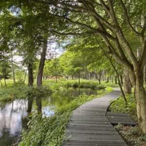 ミニ尾瀬公園