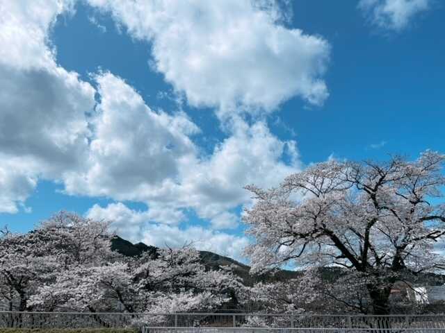 市民四季の森