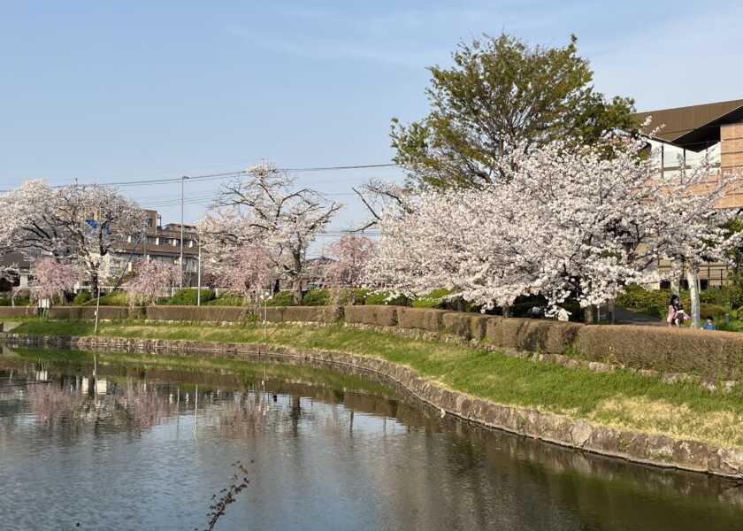 下沼公園