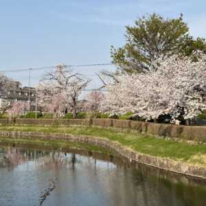 下沼公園