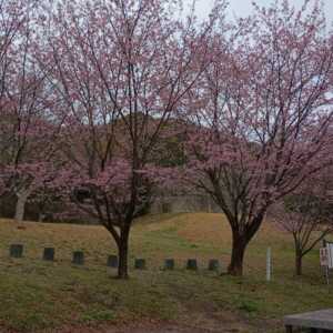 鳴門公園
