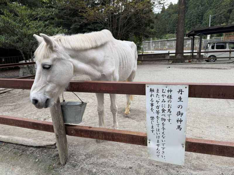 丹生川上神社下社