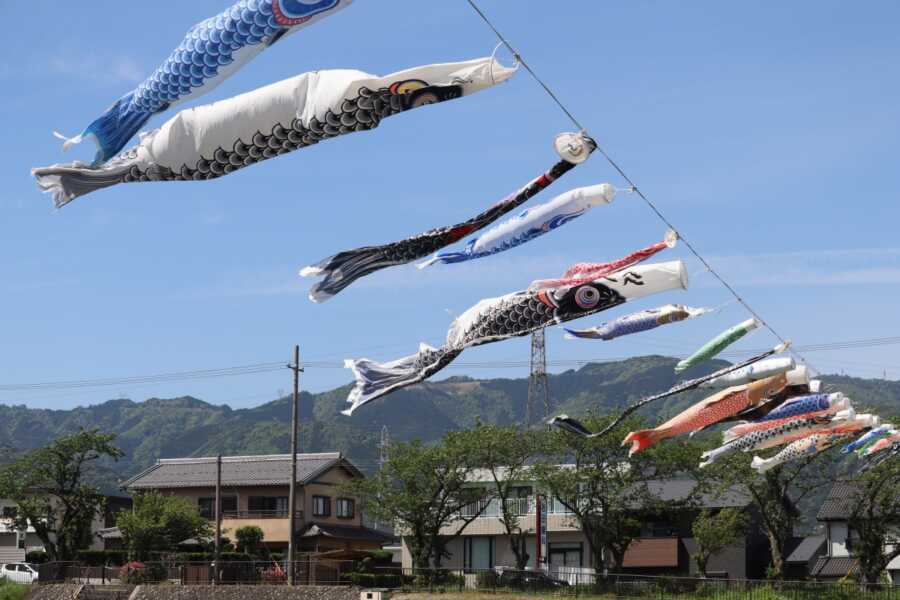 相川水辺公園