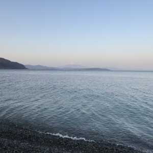 石津海岸公園
