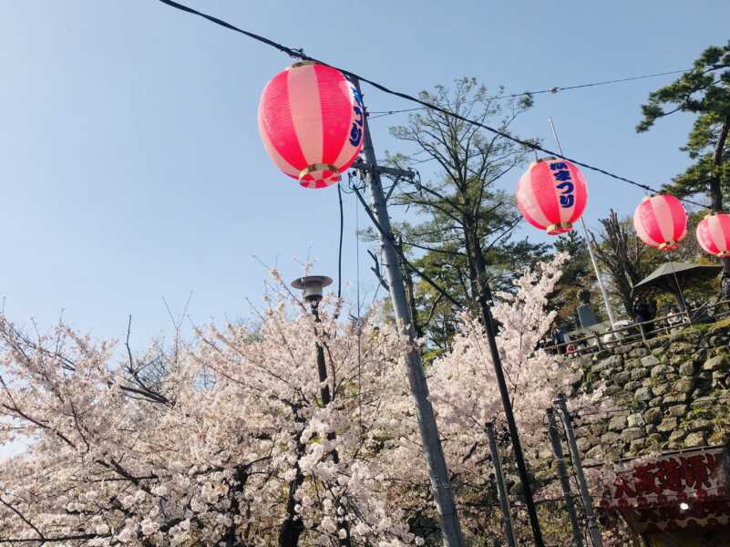 岡崎公園