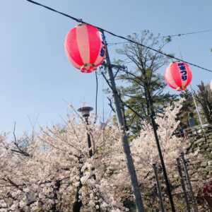岡崎公園